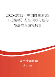 2025-2031年中國維生素B5（泛酸鈣）行業現狀分析與發展前景研究報告