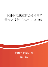 中國小勺發展現狀分析與前景趨勢報告（2025-2031年）