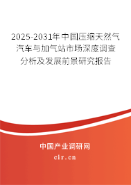 2025-2031年中國壓縮天然氣汽車與加氣站市場深度調查分析及發展前景研究報告