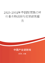 2025-2031年中國智慧路燈桿行業市場調研與前景趨勢報告