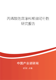 丙烯酸防腐涂料項目可行性研究報告
