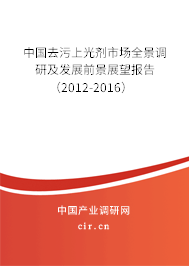 中國去污上光劑市場全景調研及發展前景展望報告（2012-2016）