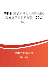 中國陽離子X-紅行業現狀研究及發展前景分析報告（2013年）