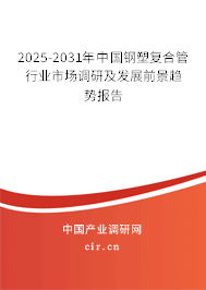 2025-2031年中國鋼塑復合管行業市場調研及發展前景趨勢報告