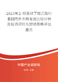 2023年2-羥基異丁酸乙酯行業國內外市場發展比較分析及投資風險與營銷策略評估報告