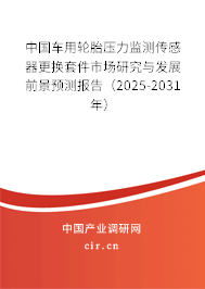 中國車用輪胎壓力監(jiān)測傳感器更換套件市場研究與發(fā)展前景預(yù)測報告（2025-2031年）
