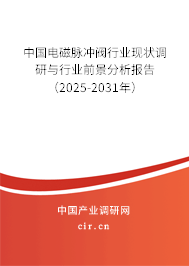 中國(guó)電磁脈沖閥行業(yè)現(xiàn)狀調(diào)研與行業(yè)前景分析報(bào)告（2025-2031年）