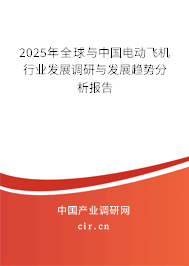2025年全球與中國電動飛機行業發展調研與發展趨勢分析報告
