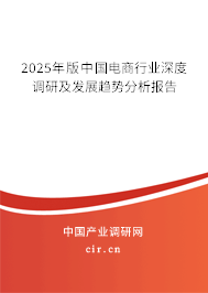 2025年版中國電商行業深度調研及發展趨勢分析報告