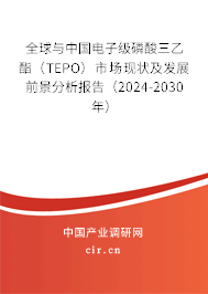 全球與中國電子級磷酸三乙酯（TEPO）市場現(xiàn)狀及發(fā)展前景分析報(bào)告（2024-2030年）