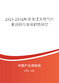 2025-2031年黑龍江天然氣行業調研與發展趨勢研究