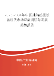 2025-2031年中國(guó)建筑起重設(shè)備租賃市場(chǎng)深度調(diào)研與發(fā)展趨勢(shì)報(bào)告