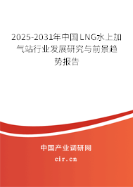 2025-2031年中國LNG水上加氣站行業發展研究與前景趨勢報告