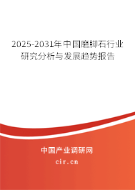2025-2031年中國磨腳石行業研究分析與發展趨勢報告