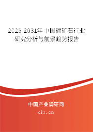 2025-2031年中國硼礦石行業研究分析與前景趨勢報告