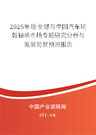 2025年版全球與中國汽車輪轂軸承市場專題研究分析與發展前景預測報告