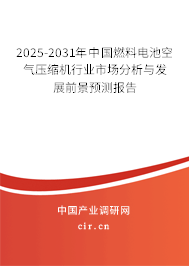 2025-2031年中國燃料電池空氣壓縮機行業市場分析與發展前景預測報告