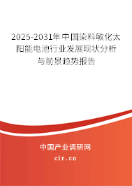 2025-2031年中國染料敏化太陽能電池行業發展現狀分析與前景趨勢報告