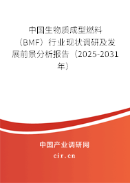 中國生物質(zhì)成型燃料（BMF）行業(yè)現(xiàn)狀調(diào)研及發(fā)展前景分析報(bào)告（2025-2031年）