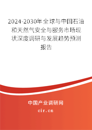 2024-2030年全球與中國石油和天然氣安全與服務市場現狀深度調研與發展趨勢預測報告