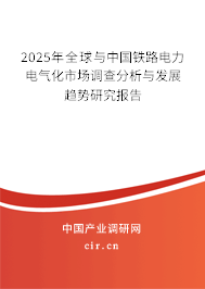 2025年全球與中國鐵路電力電氣化市場調查分析與發(fā)展趨勢研究報告