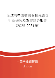 全球與中國橢圓偏振光譜儀行業研究及發展趨勢報告（2025-2031年）
