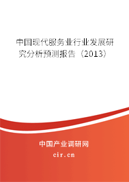 中國現代服務業行業發展研究分析預測報告（2013）