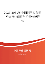 2025-2031年中國消防應急照明燈行業調研與前景分析報告