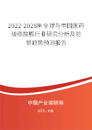 2022-2028年全球與中國醫藥級碳酸胍行業研究分析及前景趨勢預測報告