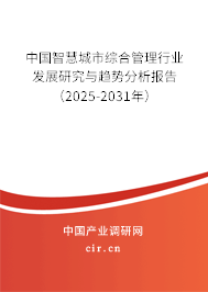 中國智慧城市綜合管理行業(yè)發(fā)展研究與趨勢分析報(bào)告（2025-2031年）