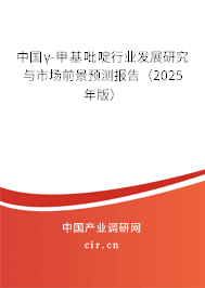 中國γ-甲基吡啶行業發展研究與市場前景預測報告（2025年版）