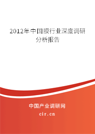 2012年中國膜行業深度調研分析報告