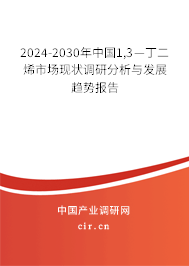 2024-2030年中國1,3—丁二烯市場現狀調研分析與發展趨勢報告