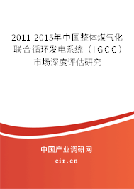 2011-2015年中國整體煤氣化聯合循環發電系統（IGCC）市場深度評估研究