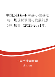 中國2-羥基-4-甲基-3-硝基吡啶市場現(xiàn)狀調(diào)研與發(fā)展前景分析報(bào)告（2025-2031年）