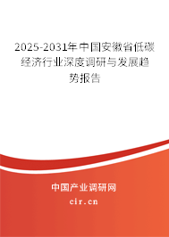 2025-2031年中國(guó)安徽省低碳經(jīng)濟(jì)行業(yè)深度調(diào)研與發(fā)展趨勢(shì)報(bào)告
