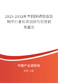 2024-2030年中國苯磺酸氨氯地平行業現狀調研與前景趨勢報告