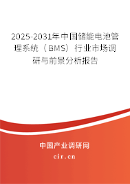 2025-2031年中國儲能電池管理系統（BMS）行業市場調研與前景分析報告