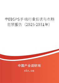 中國GPS手機行業現狀與市場前景報告（2024-2030年）