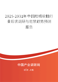 2025-2031年中國柑橘軟糖行業現狀調研與前景趨勢預測報告