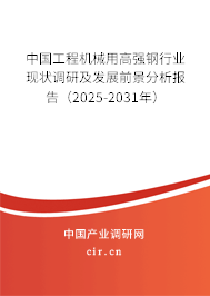 中國工程機械用高強鋼行業(yè)現(xiàn)狀調(diào)研及發(fā)展前景分析報告（2025-2031年）