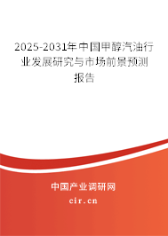 2024-2030年中國甲醇汽油行業發展研究與市場前景預測報告