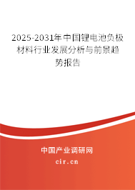 2025-2031年中國鋰電池負極材料行業發展分析與前景趨勢報告