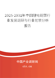 2025-2031年中國鋰電銅箔行業發展調研與行業前景分析報告
