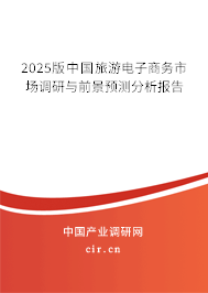 2025版中國旅游電子商務市場調研與前景預測分析報告