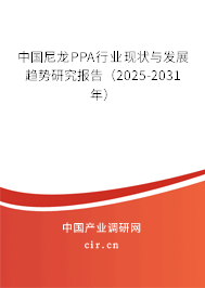 中國尼龍PPA行業現狀與發展趨勢研究報告（2025-2031年）