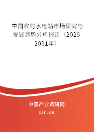 中國農村水電站市場研究與發展趨勢分析報告（2025-2031年）