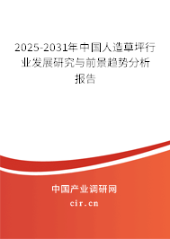 2025-2031年中國人造草坪行業發展研究與前景趨勢分析報告