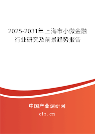 2025-2031年上海市小微金融行業研究及前景趨勢報告