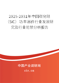2025-2031年中國碳化硅（SiC）功率器件行業發展研究及行業前景分析報告